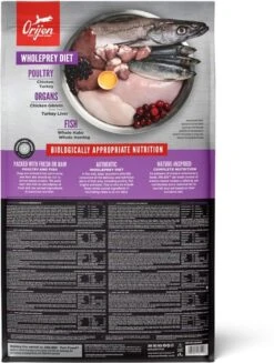 Orijen Puppy Large Breed 28 Orijen Puppy Large Breed -Exporteren Alles Voor Honden Winkel 907x1200