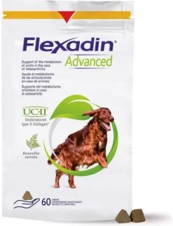 Flexadin Gewricht Supplement Flexadin Advanced Hond - 60 Stuks