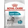 Royal Canin Ccn Joint Care Maxi - Hondenvoer - 10 Kg 2 Royal Canin Ccn Joint Care Maxi - Hondenvoer - 10 Kg -Exporteren Alles Voor Honden Winkel 923x1200 1