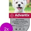 Bayer Advantix Vlooien & Teken Pipetten - Hond 4 Tot 10kg - 2 X 6 Stuks -Exporteren Alles Voor Honden Winkel 927x1200 3