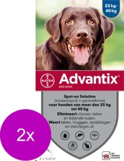 Bayer Advantix Vlooien & Teken Pipetten - Hond 25 Tot 40kg - 2 X 4 Stuks -Exporteren Alles Voor Honden Winkel 927x1200 4