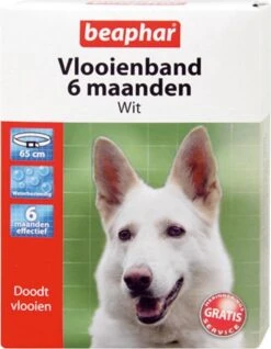 Beaphar Vlooienband Wit - 1 St -Exporteren Alles Voor Honden Winkel 931x1200 1