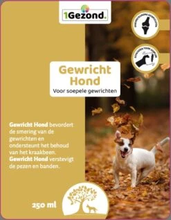 MSM En Glucosamine Gewricht Soepel Voor Honden 250 Ml -Exporteren Alles Voor Honden Winkel 935x1200 3