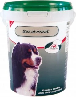 Primeval Artrose Gelatinaat - Soepele Gewrichten Hond - 500 Gr -Exporteren Alles Voor Honden Winkel 938x1200 4