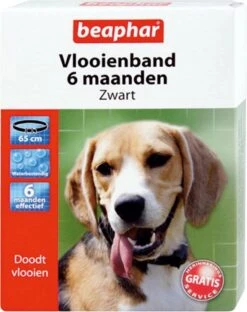 Beaphar Vlooienband Hond - Zwart - 1 Stuk -Exporteren Alles Voor Honden Winkel 950x1200 1
