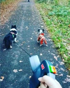 Wigzi Dual Doggie 2.0 Voor Twee Honden - Hondenriem - Grijs - 3m - <22 Kg (per Hond) -Exporteren Alles Voor Honden Winkel 960x1200 2