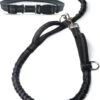 Canicross Looplijn Hond Met Heupriem Voor Hardlopen - Elastische Handsfree Hondenriem - Honden Trainingslijn - 150/210cm - Zwart 1 Canicross Looplijn Hond Met Heupriem Voor Hardlopen - Elastische Handsfree Hondenriem - Honden Trainingslijn - 150/210cm - Zwart -Exporteren Alles Voor Honden Winkel 961x1200 1