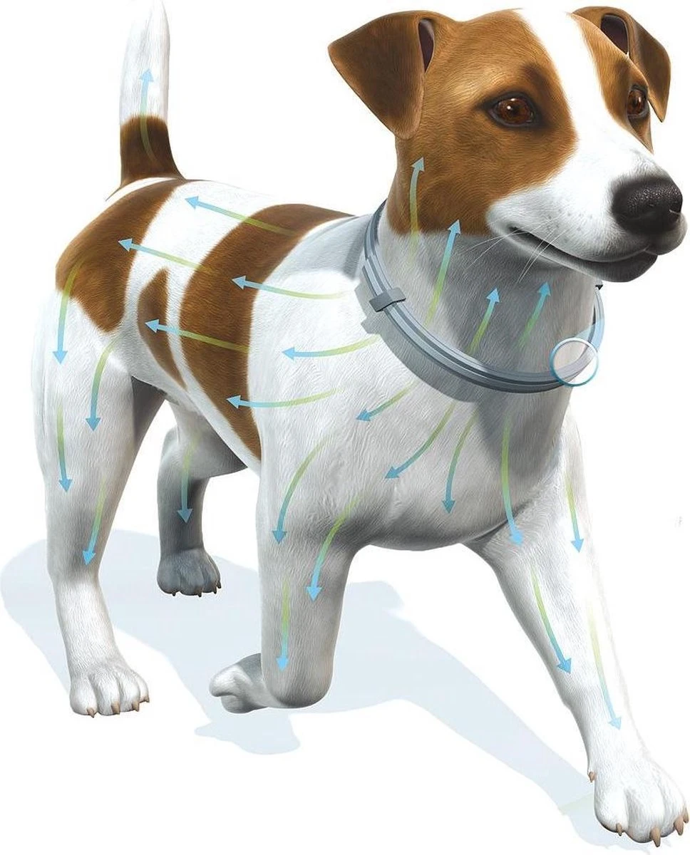 Seresto Vlooien En Tekenband - Grote Hond - >8 Kg 14 Seresto Vlooien En Tekenband - Grote Hond - >8 Kg - Afbeelding 12