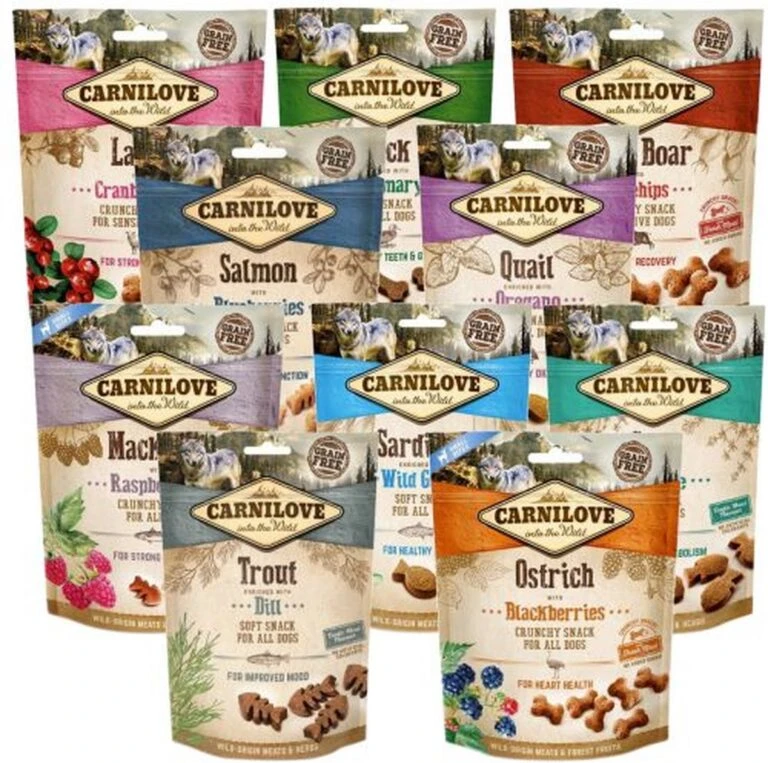 Exporteren Alles Voor Honden Winkel -Exporteren Alles Voor Honden Winkel 1200x1192 3 768x763 1